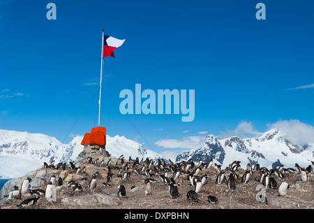 Chilenischen base González Videla Antarktis Flagge Pinguine Stockfoto