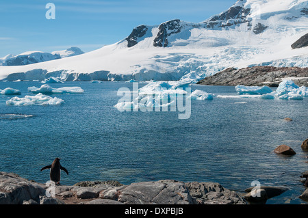 Antarktis Ozean und Bergblick Stockfoto