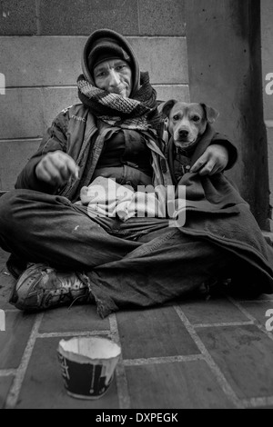 Obdachloser mit seinem Hund auf den Straßen von Leeds. Stockfoto