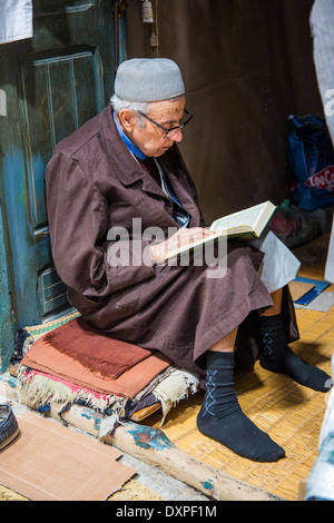 Ältere muslimischen Mann liest den Koran Kairouan, Tunesien Stockfoto