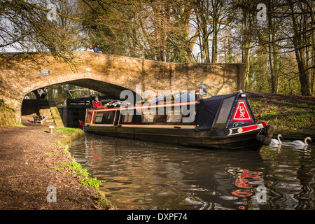 Ein Schiff geht unter einer Brücke am Grand Union Canal in Cassiobury Park, Watford, England. Stockfoto