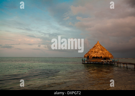 Karibischer Abend am Coral Island von Glover-Riff vor der Küste von Belize Stockfoto