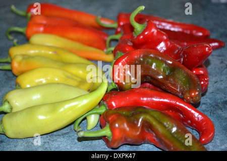 Paprika Stockfoto