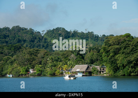 Guatemala, Abteilung von Izabal, in der Nähe der Stadt Livingston, Rio Dulce (Süßwasser) Fluss. Dschungel-Ansicht mit Hütte. Stockfoto