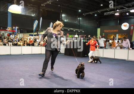 Buenos Aires, Argentinien. 28. März 2014. Trainer und ihre Hunde ausführen während der Ausstellung "Our Dogs" in Buenos Aires, Hauptstadt von Argentinien, am 28. März 2014. Bildnachweis: Martin Zabala/Xinhua/Alamy Live-Nachrichten Stockfoto