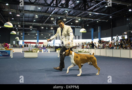 Buenos Aires, Argentinien. 28. März 2014. Ein Trainer und sein Hund nehmen Teil an der "Our Dogs"-Ausstellung in Buenos Aires, der Hauptstadt von Argentinien, am 28. März 2014. Bildnachweis: Martin Zabala/Xinhua/Alamy Live-Nachrichten Stockfoto