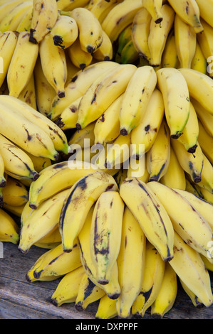 Die Trauben reifen gelben Bananen gestapelt im Freien an tropischen Früchten Bauernmarkt in Rio De Janeiro Brasilien Stockfoto