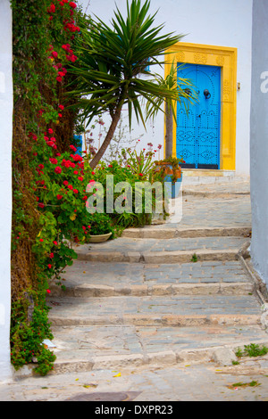 Alte Tür in Sidi Bou Said, Tunesien Stockfoto