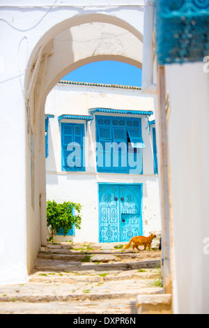 Alte Tür in Sidi Bou Said, Tunesien Stockfoto