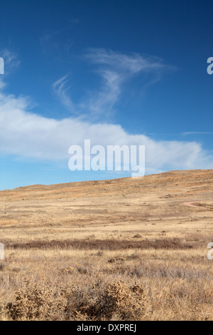 Gemischte Wolken über Prairie Grünland Paint Mines Interpretive Park, Colorado Stockfoto