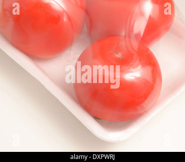 frische Tomaten in pack Stockfoto