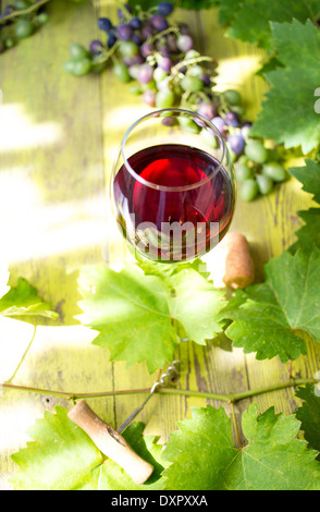 Glas Rotwein auf einem Holztisch mit Trauben, Korkenzieher und Weinkorken und junge Weintraube. Stockfoto