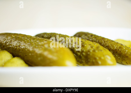Marinierte Gurken, Gurken auf der weißen Platte closeup Stockfoto