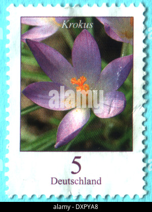 Deutschland - ca. 2005: Eine Briefmarke gedruckt in Deutschland, zeigt eine Blume, Crocus Tommasinianus, ca. 2005 Stockfoto