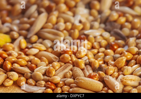 Makroaufnahme von sortierten gesunden Körnern mischen, besonderen Schwerpunkt im Vordergrund, der Hintergrund jedoch unscharf Stockfoto