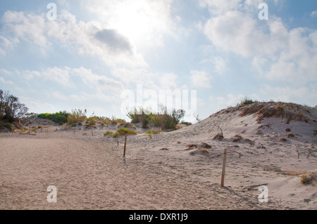 Elafonisi oder Elafonissi, "Deer Island" in griechischer Sprache, einer der schönsten Strände von Kreta Stockfoto