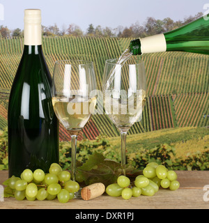 Weißer Wein aus einer Flasche Wein in ein Glas in den Weinbergen in der Natur gießen Stockfoto