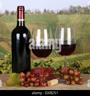 Rotwein in eine Flasche und Gläser Wein in den Weinbergen im Herbst Stockfoto