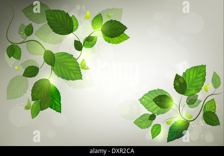 Sommer Hintergrund mit Blätter, Sunbeam und Schmetterlinge Stockfoto