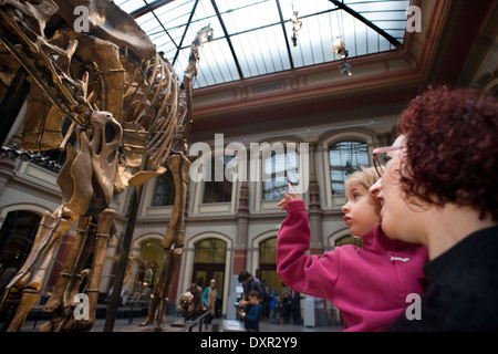 Museum Fuer Naturkunde, Museum für Naturkunde Berlin. Paläontologische Museum in Berlin alte Skelette von Dinosauriern. Stockfoto