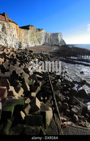 Coastal Meer Abwehrkräfte, Seaford Town, East Sussex, England, UK Stockfoto