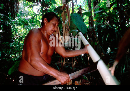 Männer schneiden Palm im Fluss Orinoco. Die Warao sind ein indigenes Volk bewohnen nordöstlichen Venezuela und westlichen Guyana Stockfoto