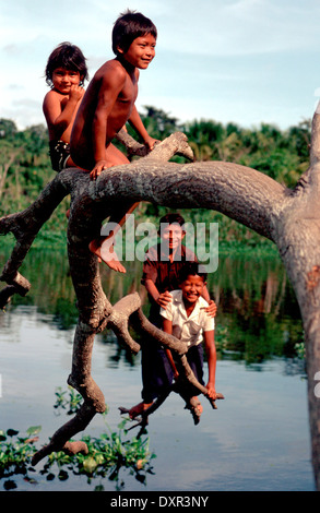 Kinder spielen im Fluss Orinoco. Die Warao sind ein indigenes Volk bewohnen nordöstlichen Venezuela und westlichen Guyana. Stockfoto