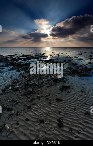 Morgendämmerung über Shoreham-By-Sea Beach, West Sussex County, England, UK Stockfoto