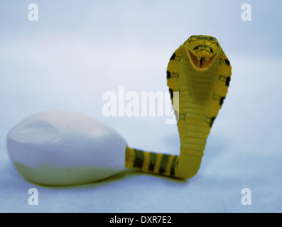 SCHLANGE COBRA SCHRAFFUR AUS EI Stockfoto