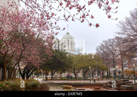 MacArthur Square und MacArthur Memorial, Norfolk, Virginia. Stockfoto