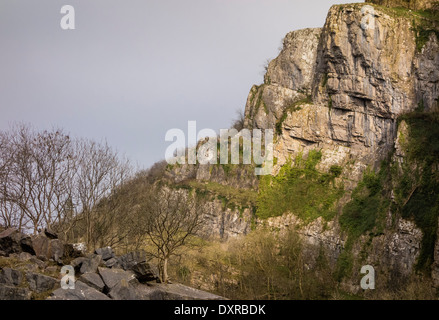 Felswand in der Cheddar Gorge, Somerset, England, UK Stockfoto
