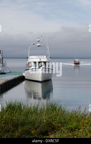 Kanada, Quebec, Havre St. Pierre, Mingan Archipel Nationalpark, Lle Steinbruch (Steinbruch Island). Stockfoto