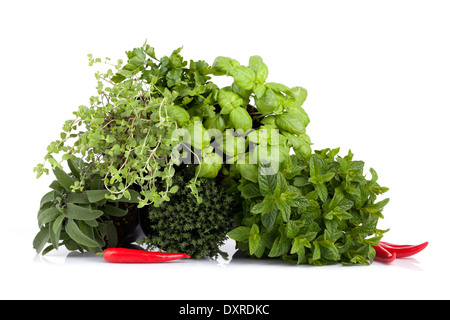 Kräuter Mix Stockfoto