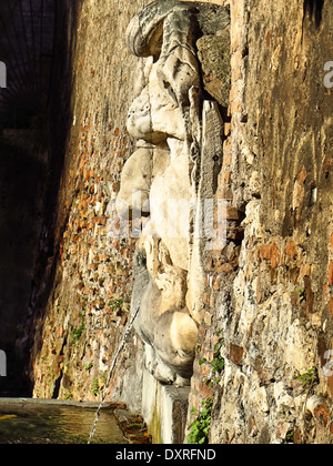 Santa Sabina, Maske Brunnen im Kirchhof in Rom, Italien Stockfoto