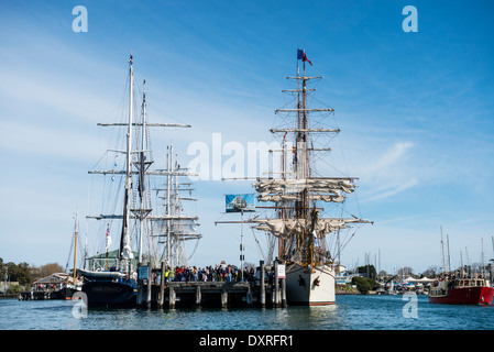 Großsegler am Williamstown, Victoria Stockfoto