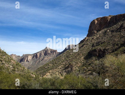 Arizonas Sabino Canyon Stockfoto