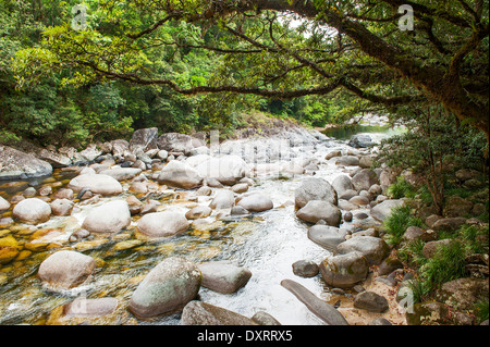 Mossman Gorge im Daintree National Park in der Nähe von Port Douglas, Queensland, Australien Stockfoto