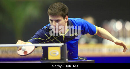 Magdeburg, Deutschland. 30. März 2014. Deutschlands Spieler Dimitrij Ovtcharov spielt gegen Portugals Apolonia während der German Open in der Getec-Arena in Magdeburg, Deutschland, 30. März 2014. Foto: Jens Wolf/Dpa/Alamy Live News Stockfoto