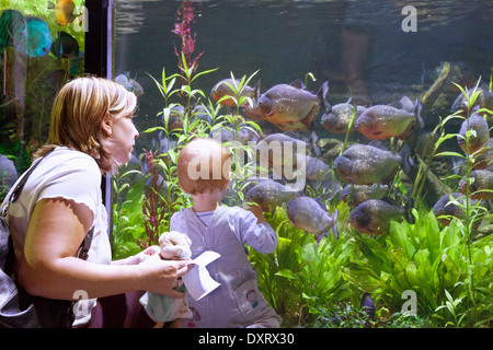 Ein Kind und Mutter Blick auf Fisch, Dubai Aquarium und Unterwasserzoo, Dubai Mall, Dubai Vereinigte Arabische Emirate, Vereinigte Arabische Emirate Stockfoto