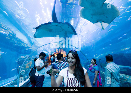 Menschen in den Tunnel am Dubai Aquarium und der Unterwasser Zoo, Dubai Mall, Dubai UAE, Vereinigte Arabische Emirate Stockfoto