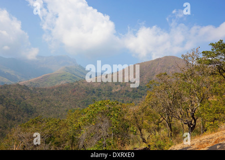 Sanfte Landschaft und Wald s von Karnataka in Südindien angesehen von den Höhen des Nilgiri Hills in der Nähe von Kodaikanal Stockfoto