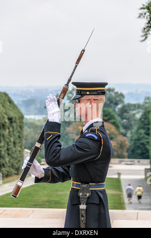 Ehrengarde, Grabmal der unbekannten, Nationalfriedhof Arlington, Virginia Stockfoto