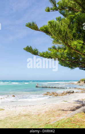 Flinders Bay Beach, Augusta, Western Australia, Australia Stockfoto