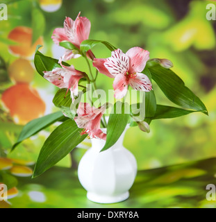 Wunderschöne Alstroemeria Lilie Blumen in weißer Vase auf grünem Hintergrund Stockfoto