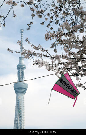 Tokyo, Japan - die Kirschblüten blühen entlang Sumida-Fluss in der Nähe von Tokyo Skytree am 29. März 2014. Eines der ältesten Tradition in Japan ist die Hanami, die Kirschblüten zu bewundern. Bildnachweis: Rodrigo Reyes Marin/AFLO/Alamy Live-Nachrichten Stockfoto