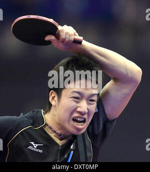 Magdeburg, Deutschland. 30. März 2014. Japans Jun Mizutani spielt gegen Deutschlands Dimitrij Ovtcharovcheers während der German Open in der Getec-Arena in Magdeburg, Deutschland, 30. März 2014. Foto: Jens Wolf/Dpa/Alamy Live News Stockfoto