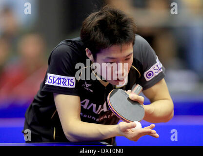 Magdeburg, Deutschland. 30. März 2014. Japans Jun Mizutani spielt gegen Deutschlands Dimitrij Ovtcharovcheers während der German Open in der Getec-Arena in Magdeburg, Deutschland, 30. März 2014. Foto: Jens Wolf/Dpa/Alamy Live News Stockfoto