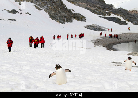 Antarktis Tourismus und Pinguine unter der Antarktis-Landschaft. Stockfoto