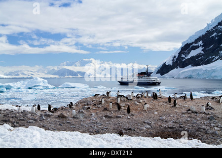Kreuzfahrtschiff der Antarktis-Expedition mit Touristen genießen antarktischen Landschaft von Pinguinen, Berge, Neko Harbor Hafen. Stockfoto