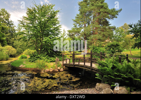 Japanischer Garten Stockfoto